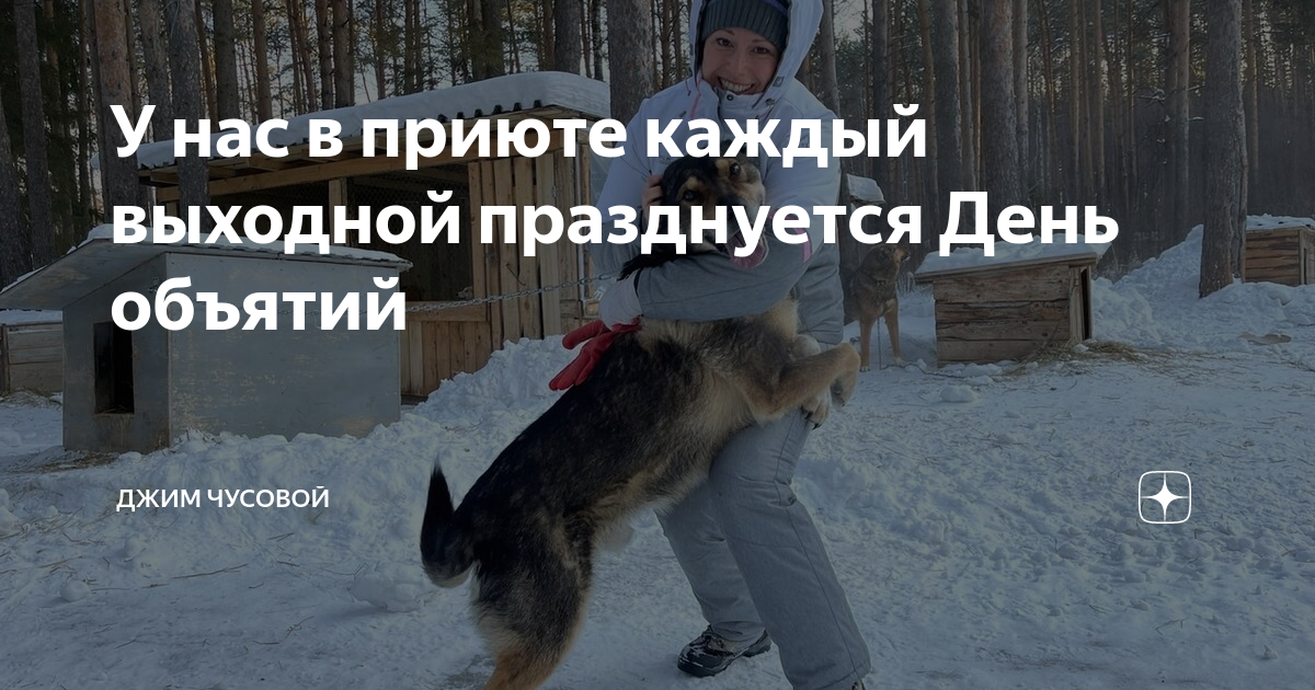 Джим чусовой. Приют джим чусовой. Приют джим новоуральск. Приют джим чусовой. Приют джим чусовой.
