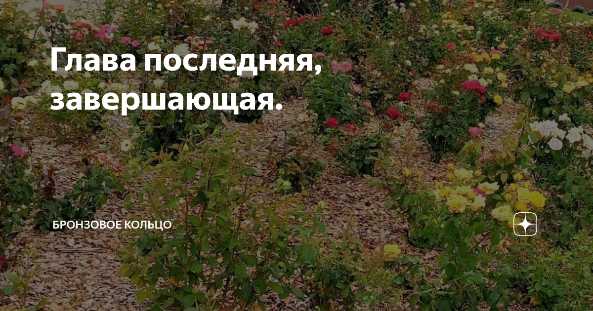 Бронзовое кольцо дзен новый рассказ на дзен
