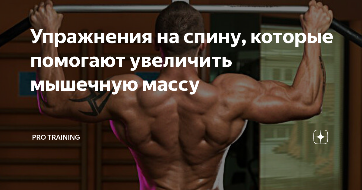 Упражнения на спину, которые помогают увеличить мышечную массу | Томаш ...