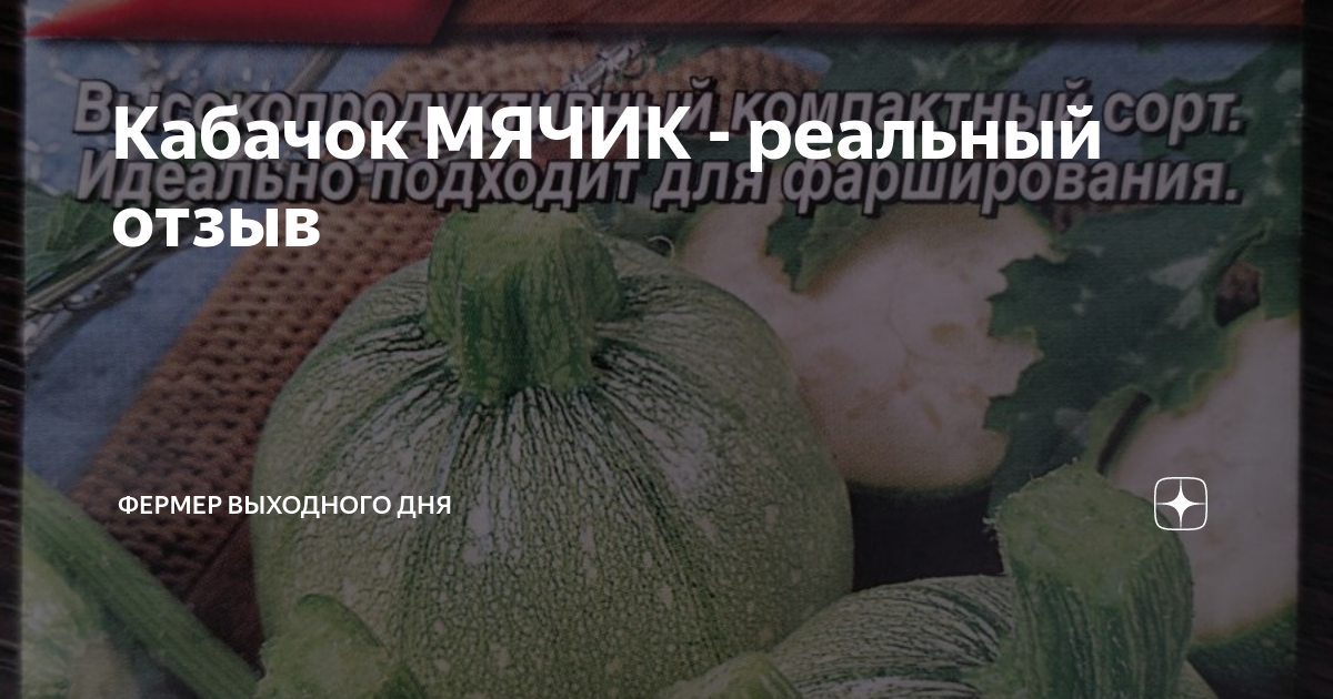 Кабачок МЯЧИК - реальный отзыв | Станислав Бакал - Фермер выходного дня ...