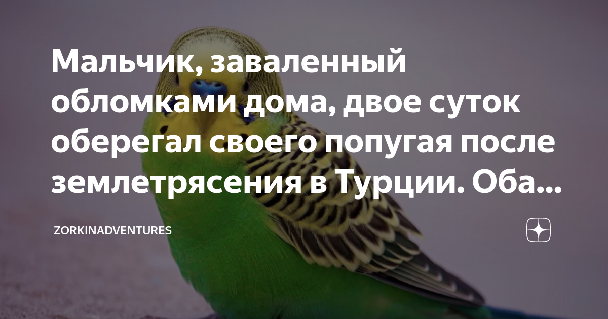 История спасения