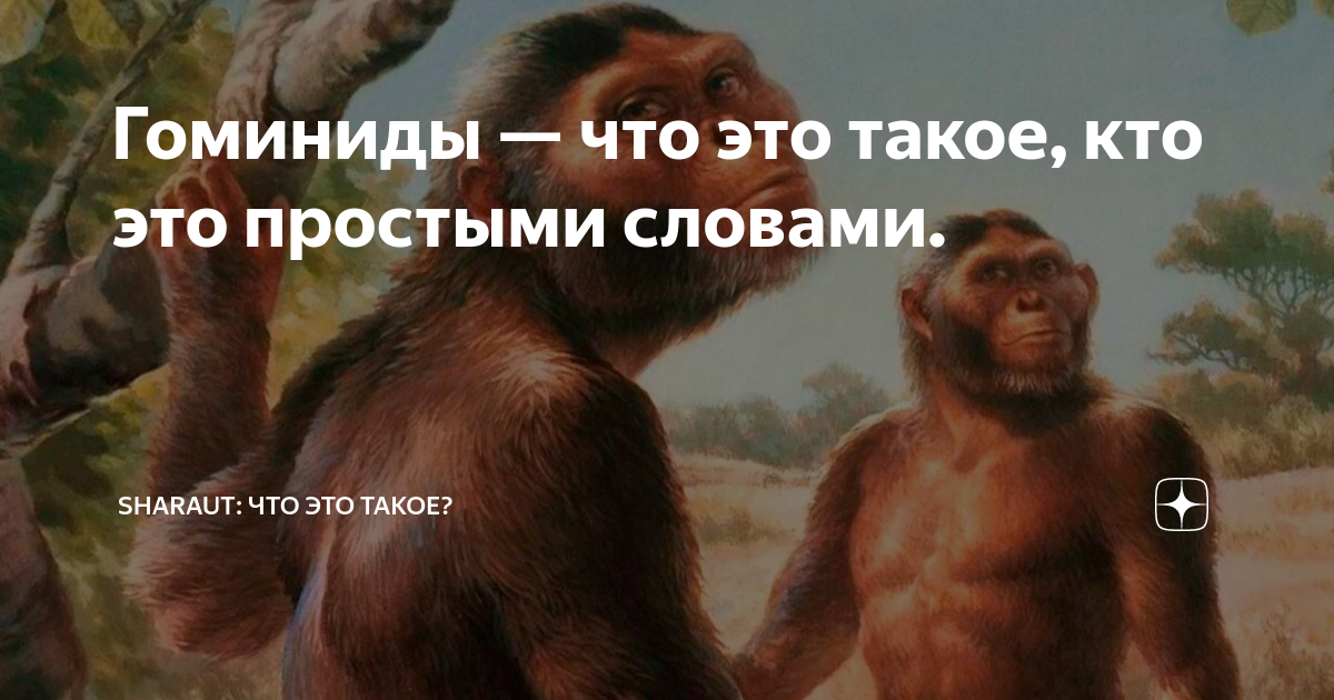 Гоминиды — что это такое, кто это простыми словами. | SHARAUT: Что это ...