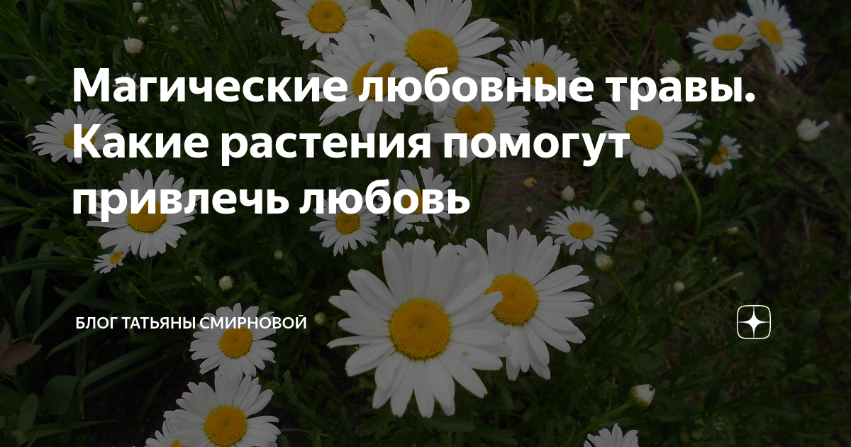 Любовные травы: 10 наилучших трав, способствующих развитию любви и страсти