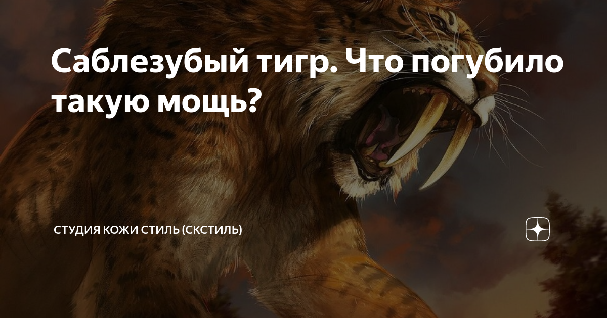 Тигр диего вов сирус. Саблезубая тигрица Шира. Саблезубый тигр причина вымирания. Саблезубый тигр Шира