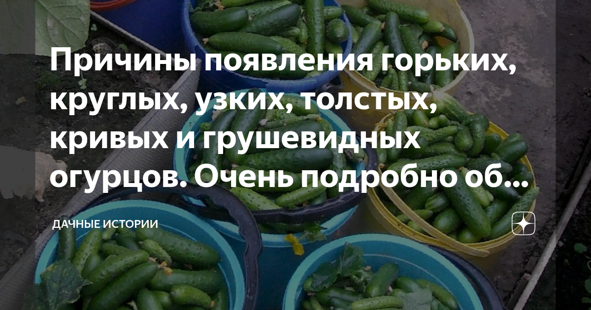 Почему у огурцов внутри пустота. Огурец внутри. Кривые огурцы причина. Белый огурец внутри. Огуречный вопрос.