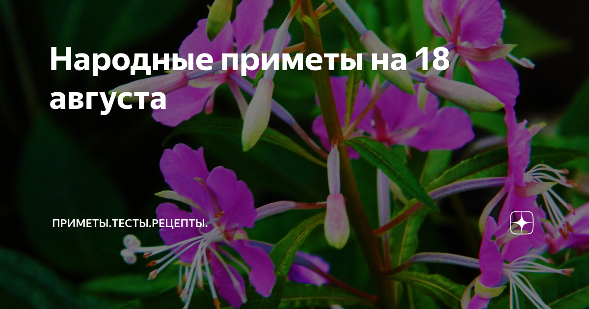 Приметы на 18 июня 2024