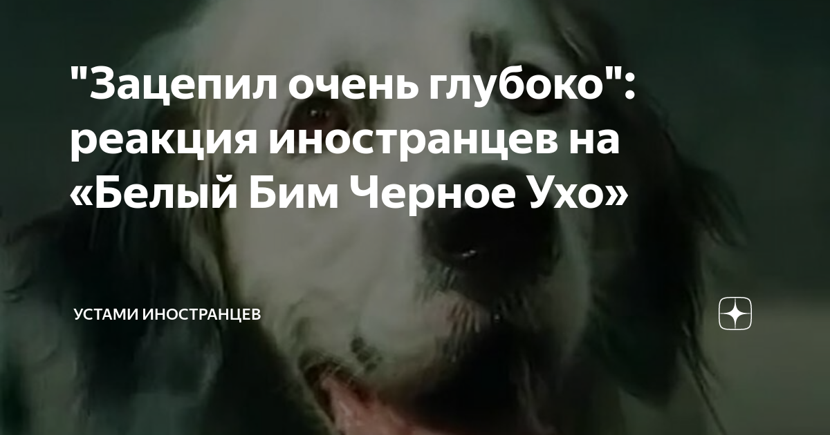 Комментарии иностранцев дзен. Комментарии иностранцев дзен. Егти русиновцы. Комментарии иностранцев дзен. Мемы про иностранцев.