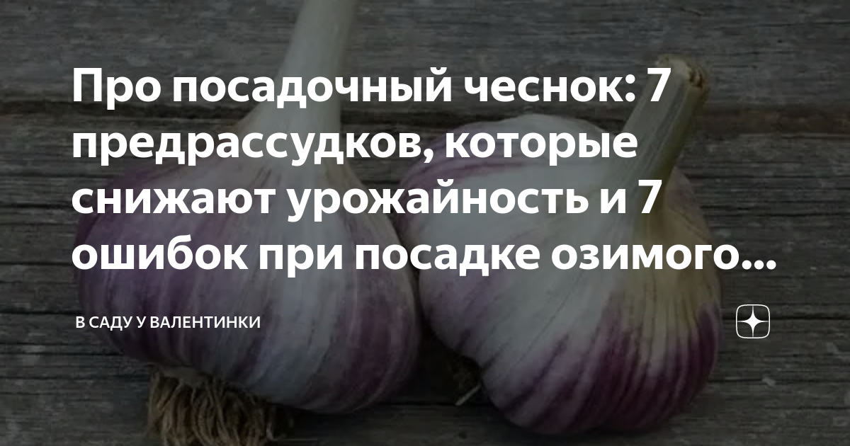 Прижившийся предрассудок 7 букв. Сколько нужно чеснока для посадки. Сколько нужно чеснока для посадки на 1 га. Сколько чеснока посадка на сотку. Сколько нужно чеснока на 1 сотку