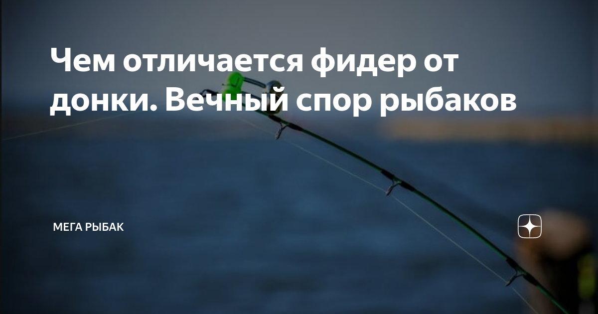 Чем отличается фидер. Чем отличается фидер