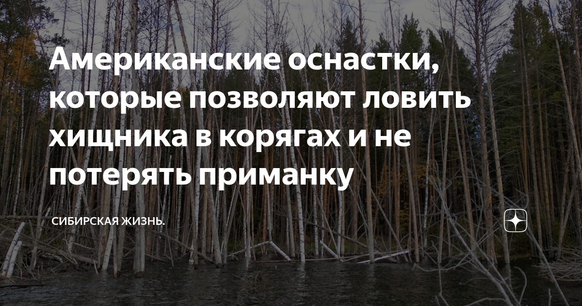 Твоя подруга в сибири дзен. Дзен зимой. Засадный лагерь в беар крик. Живем в сибири дзен. Один в тайге.