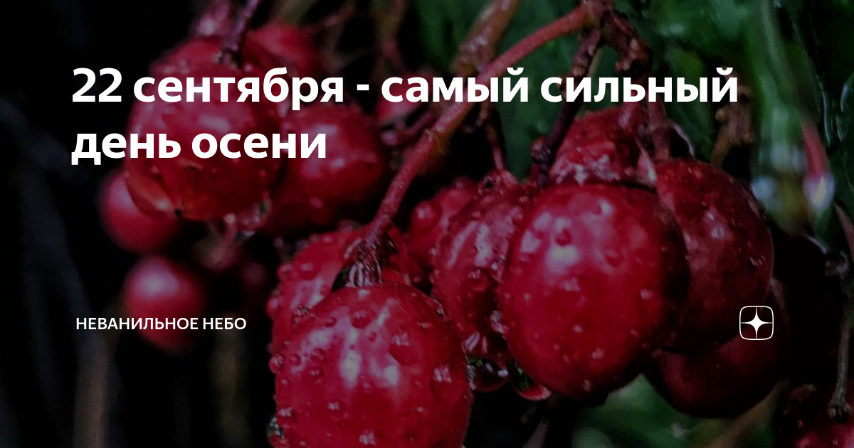 Косточки вишни ядовиты. Цианид в вишневых косточках. Цианид в косточках вишни.