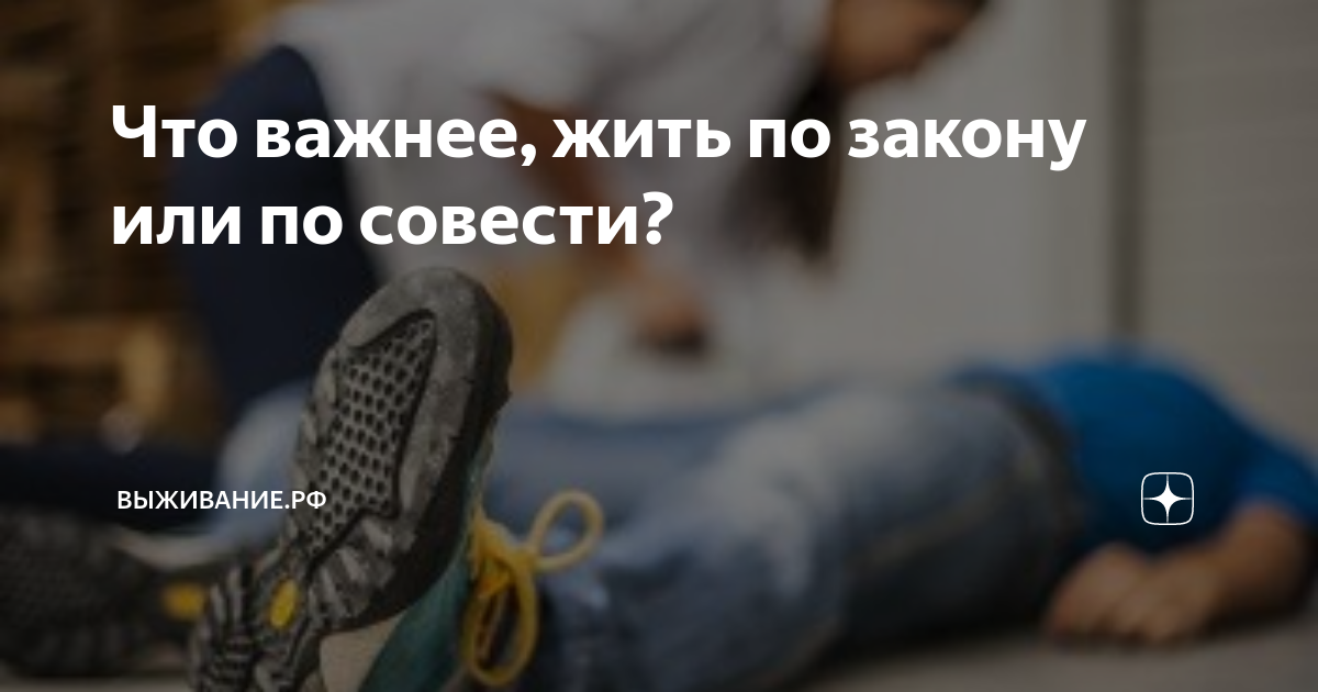 Что важнее, жить по закону или по совести? | Выживание.рф | Дзен