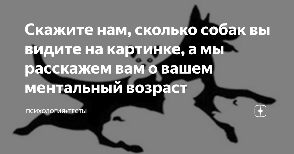 Сколько собак вы видите на картинке