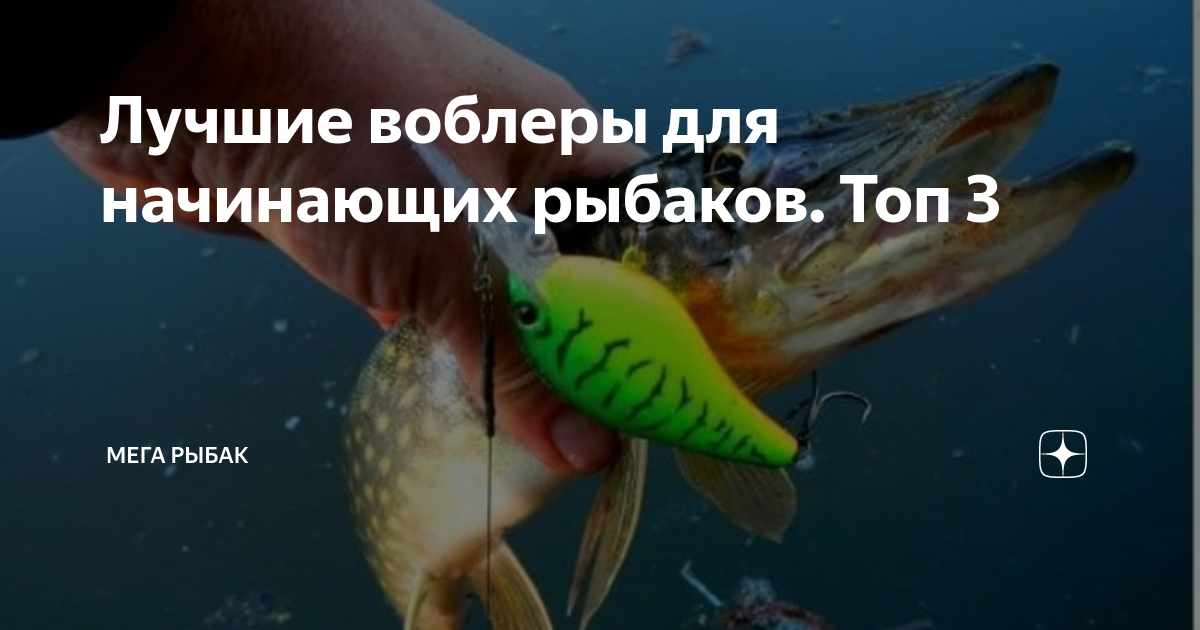 Лучшие воблеры для начинающих рыбаков. Топ 3 | Мега Рыбак | Дзен