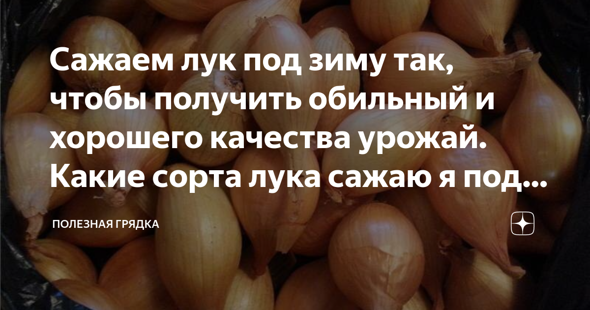 После капусты можно сажать лук под зиму. Скашивание ботвы картофеля. ботву на картошки можно косить. когда косить ботву у картофеля перед уборкой. зачем косить ботву у картофеля перед уборкой.