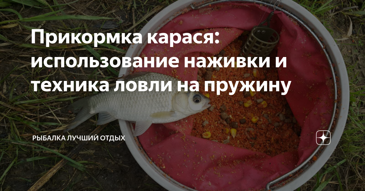 Лучшая прикормка на карася в мае. Прикорм для рыбы. Прикормка для фидера на карася. Лучшая прикормка на карася в мае. Рыболовная прикормка.