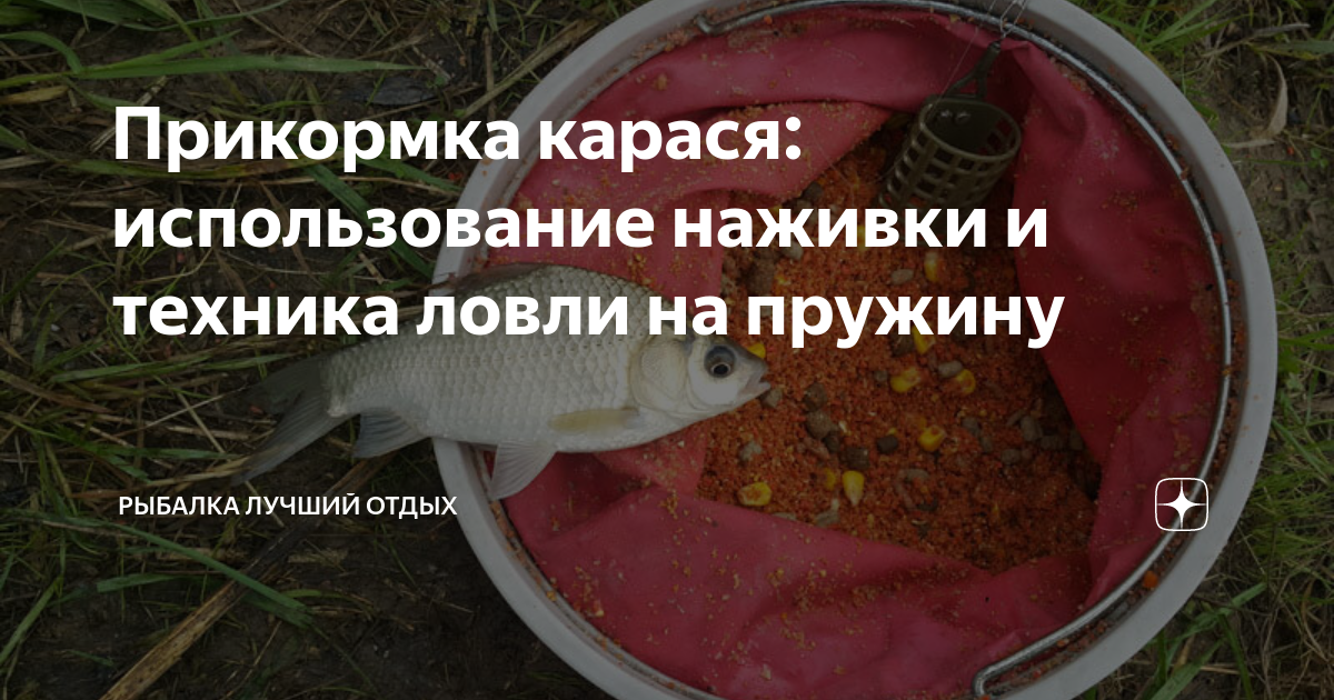 МАМАЛЫГА ДЛЯ РЫБАЛКИ (на крючок и в пружины). My fishing