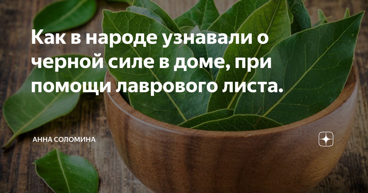 Лавровый лист: как хранить сухую и свежую специю в домашних условиях