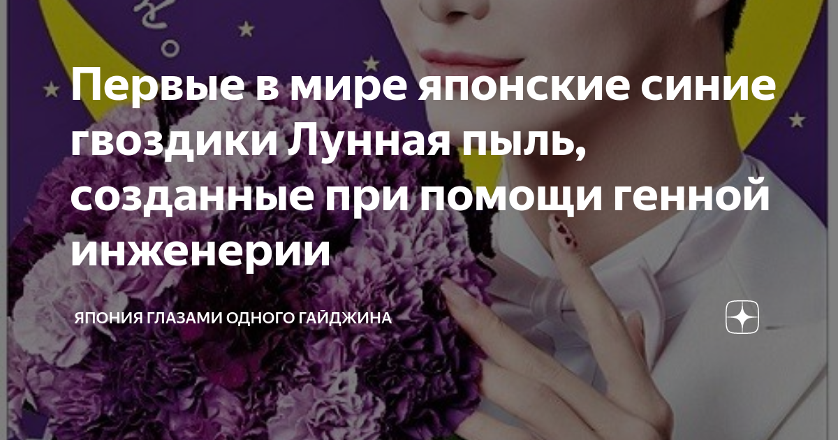 Первые в мире японские синие гвоздики Лунная пыль, созданные при помощи ...
