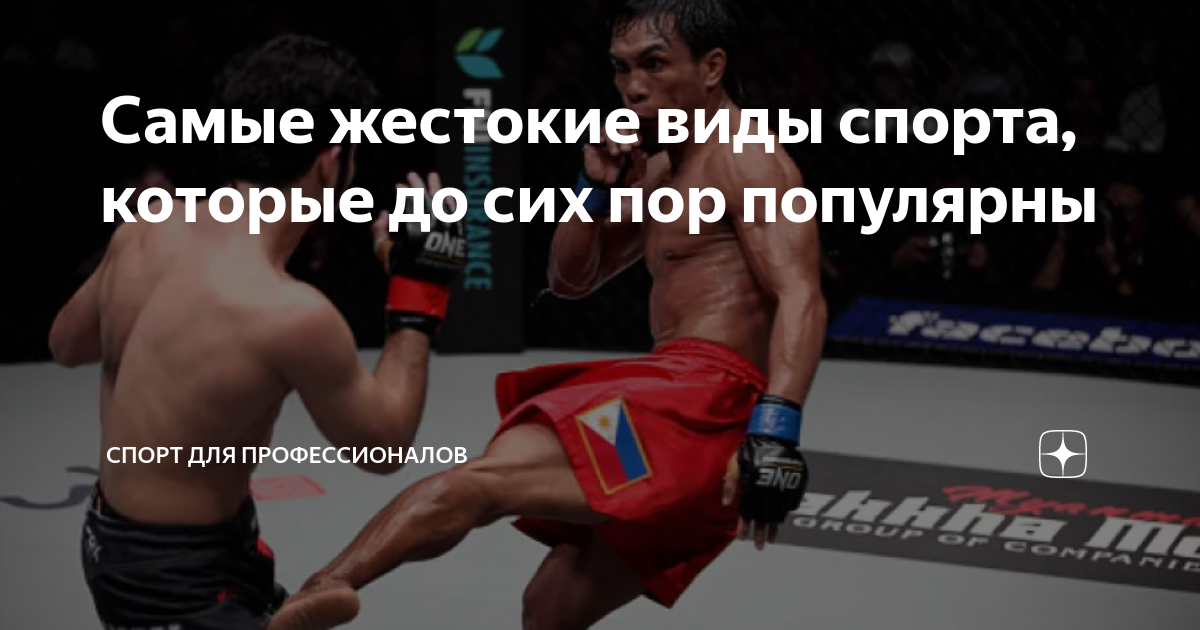 Самые жестокие виды спорта, которые до сих пор популярны | Спорт для ...
