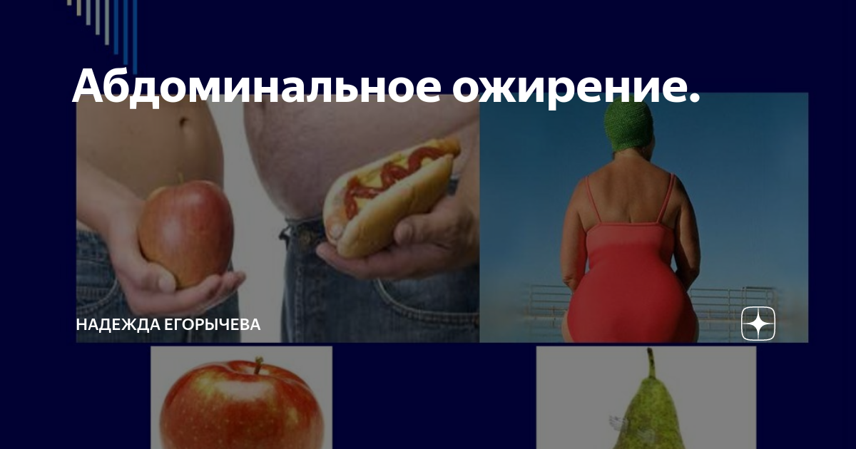 Абдоминальное ожирение. | Надежда Егорычева | Дзен