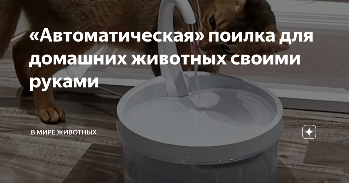 Умная автоматическая кормушка для кошек и собак Xiaomi PETONEER Smart Pet Feeder