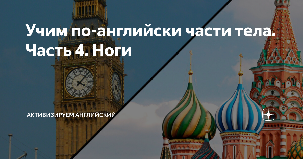 Учим по-английски части тела. Часть 4. Ноги | Активизируем английский ...