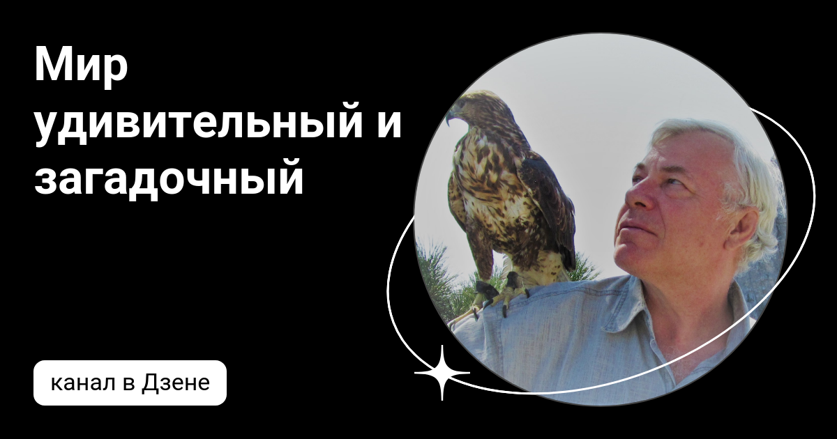 Мир удивительный и загадочный | Дзен