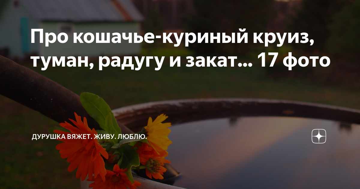 Дурушка вяжет дзен айда с нами. Дурушка вяжет дзен. Дурушка вяжет дзен. Дурушка вяжет дзен сегодня. Дурушка не только вяжет, но и пишет посиделки.