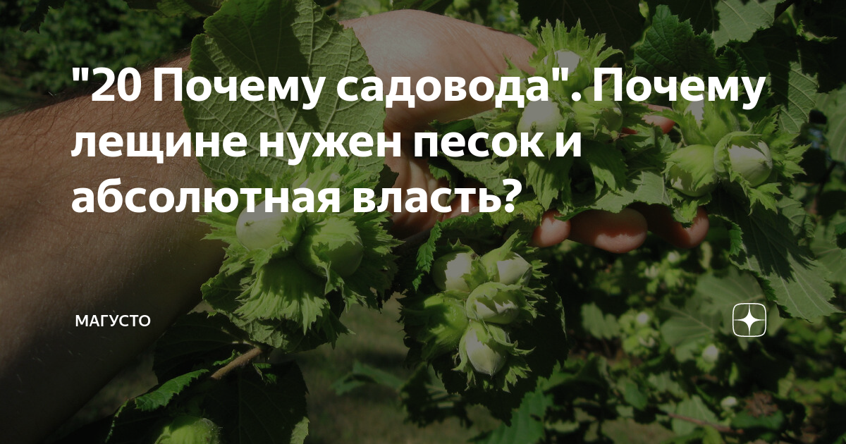 зачем садовод осенью при первых