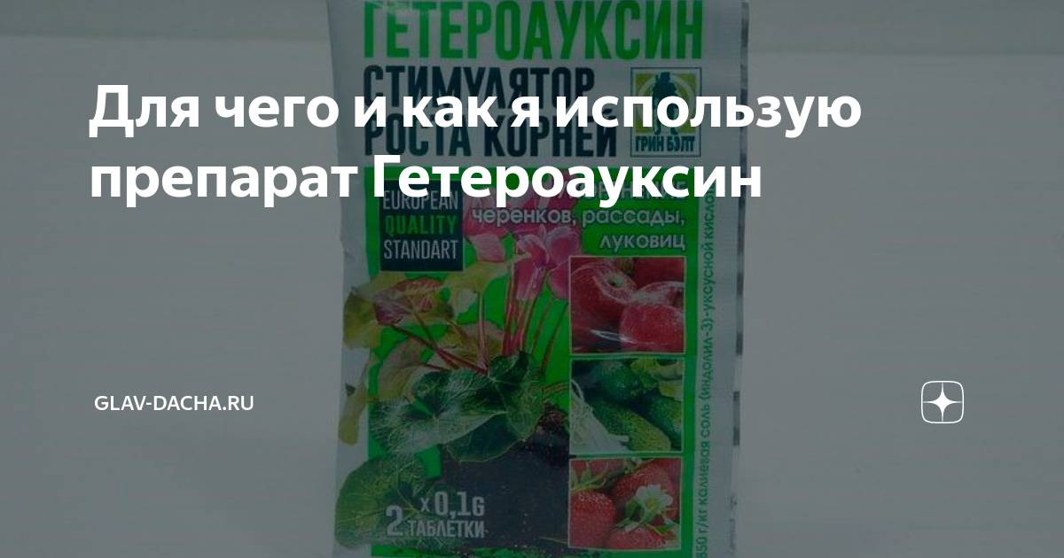 Для чего и как я использую препарат Гетероауксин | Glav-Dacha.ru | Дзен