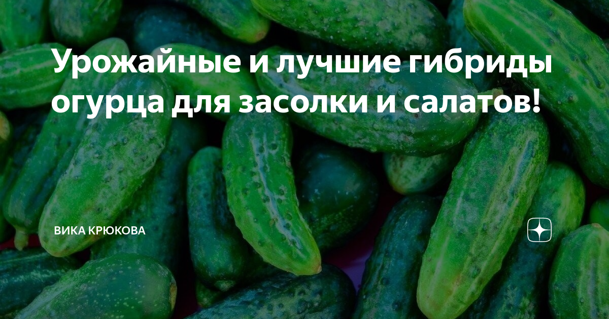 Какие семена огурцов для салатов