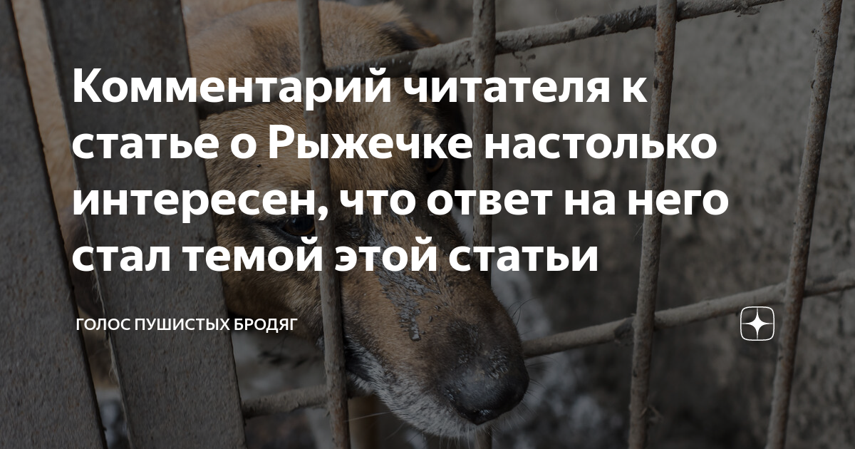Афоризмы про память смешные. Интересуешься моей жизнью. Узнала о себе много нового. Ненормальная женщина. Узнать много нового.