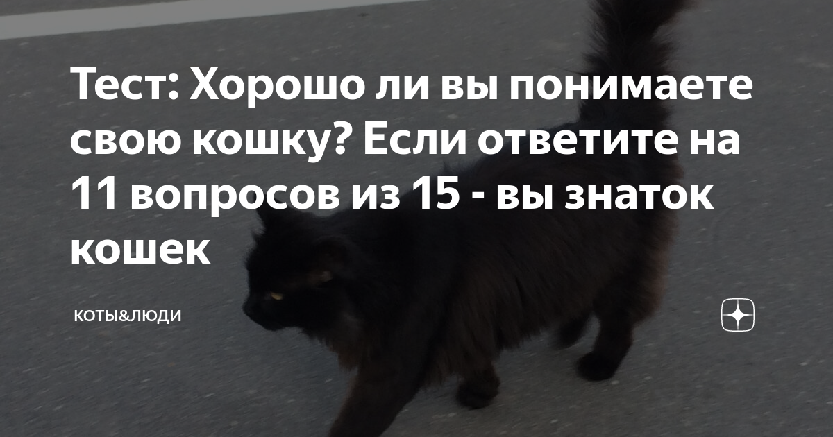 тест на кошку или собаку