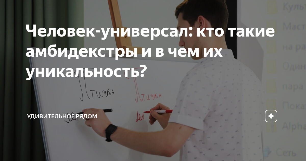 Что обозначает данное понятие?