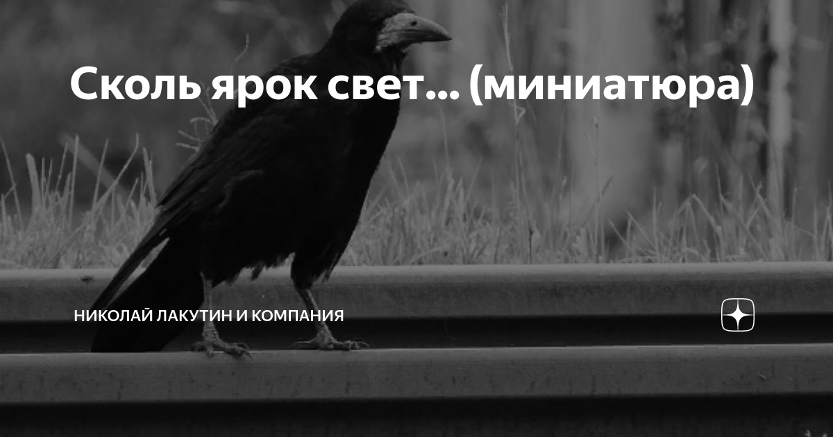 Не было печали на дзен 265. Дзен наглые родственники