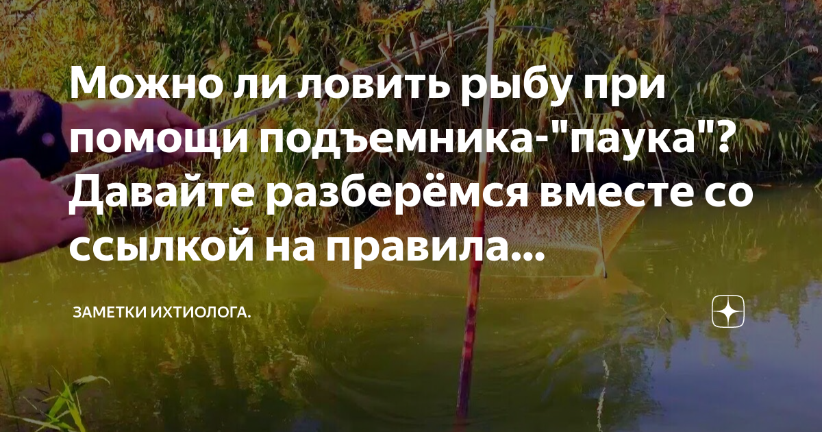 Можно ли ловить рыбу при помощи подъемника-"паука"? Давайте разберёмся ...