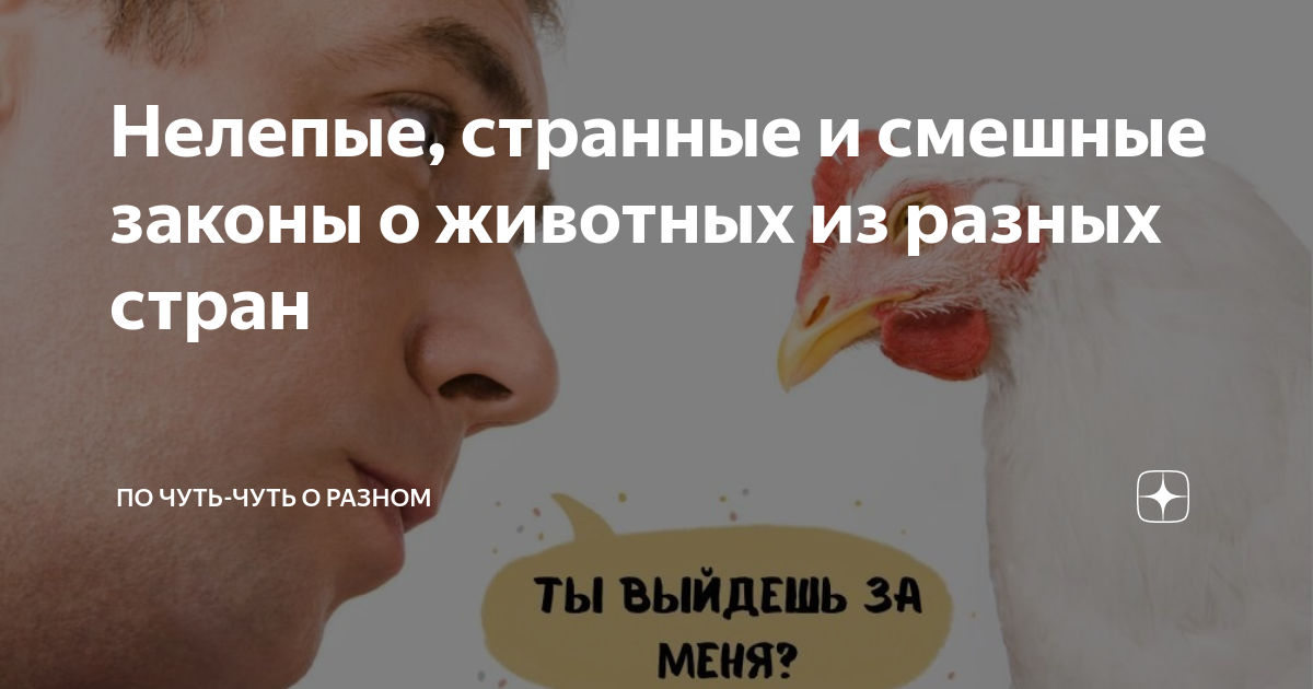 Приколы о сексе в разных странах