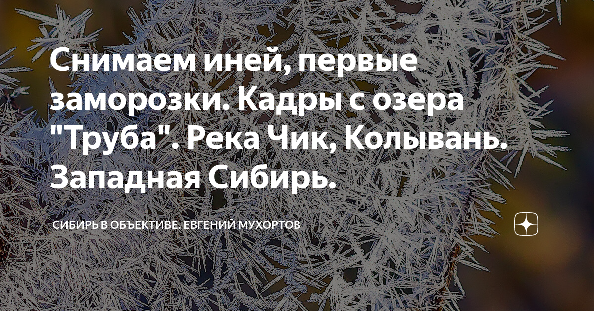 Задание продумано серебряный иней убранная комната