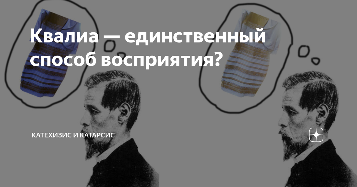 Квалиа — единственный способ восприятия? | Катехизис и Катарсис | Дзен