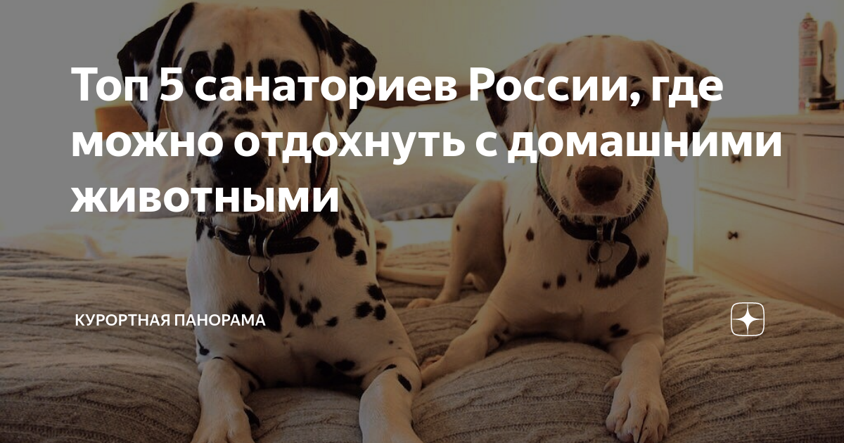 отдых с домашними животными в подмосковье