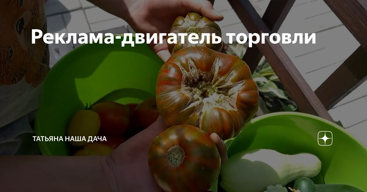 Реклама-двигатель торговли | Татьяна НАША ДАЧА | Дзен