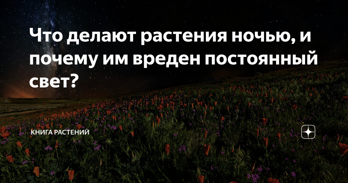 В RUST добавят режим для новичков и людей с непостоянным онлайном — Игры на DTF