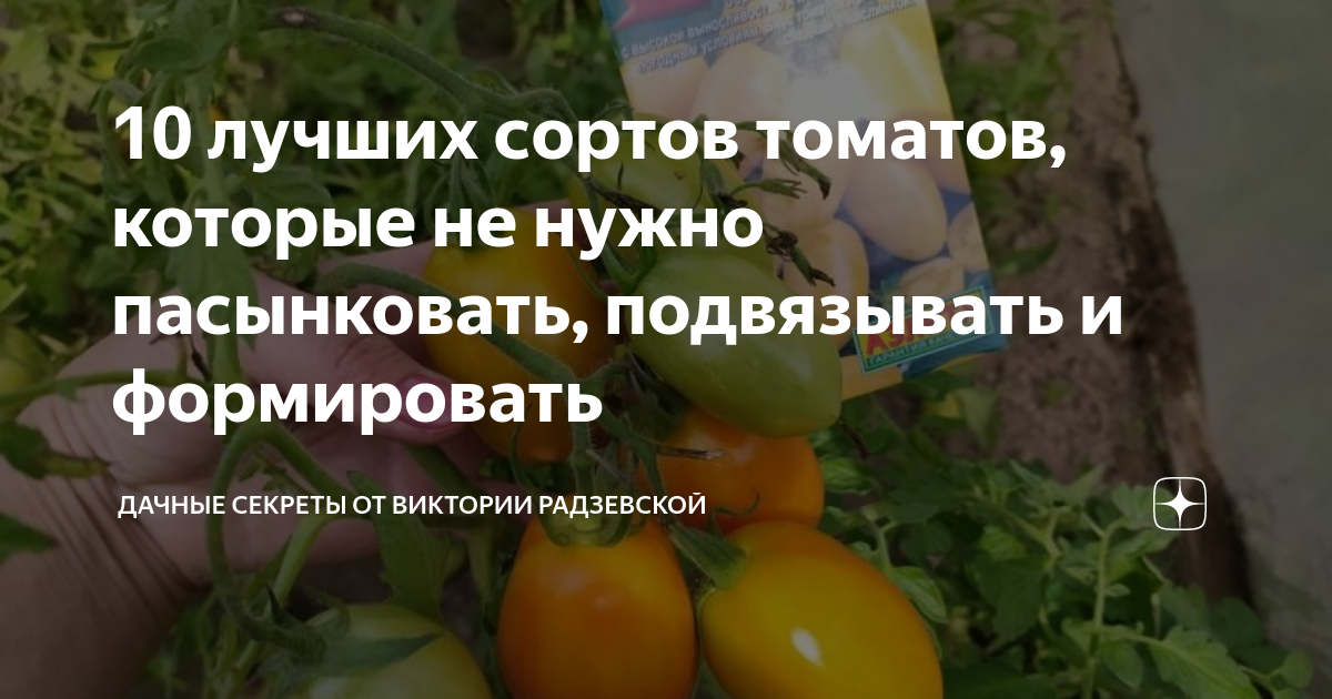 10 лучших сортов томатов, которые не нужно пасынковать, подвязывать и ...