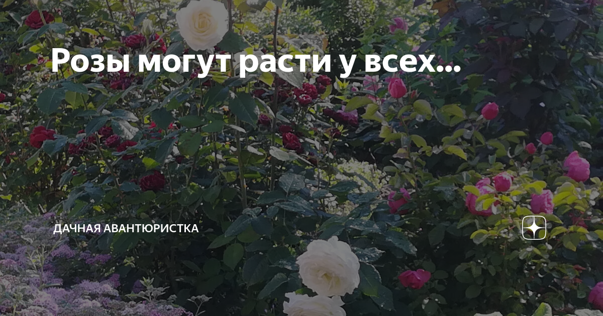 №1 2014 - gardener.ru