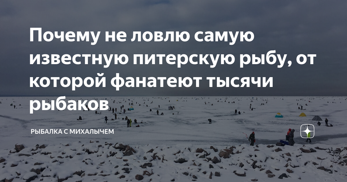 не верю людям и рыбам текст
