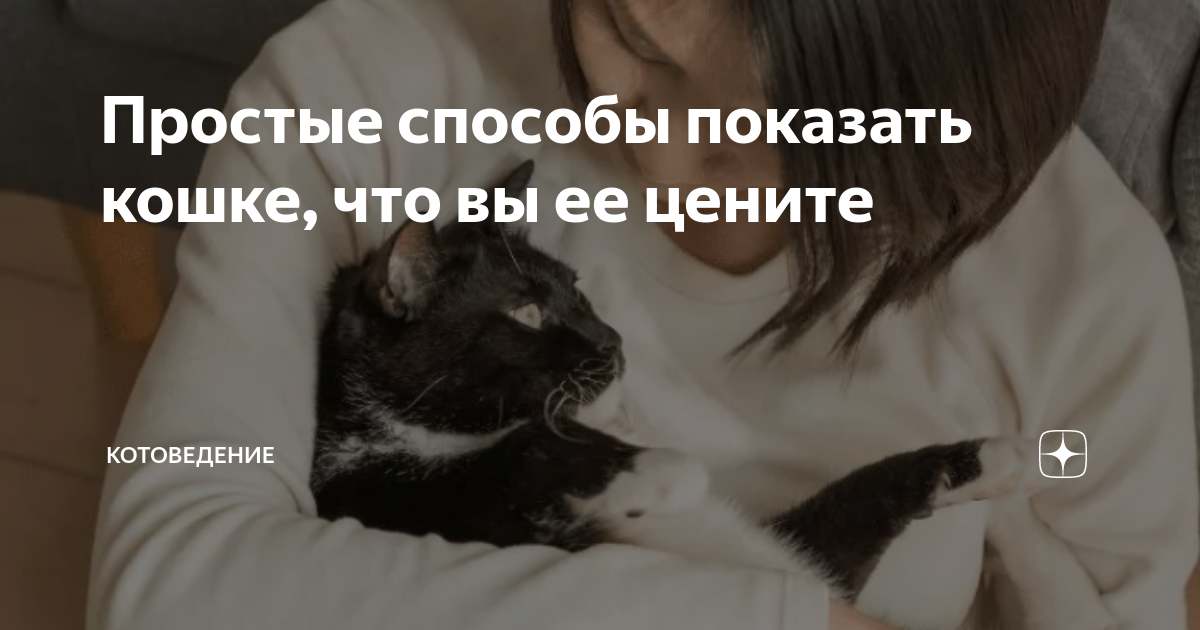 как показать кошке что вы её любите
