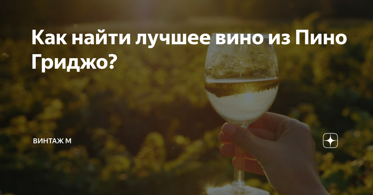 Как найти лучшее вино из Пино Гриджо? | Винтаж М | Дзен