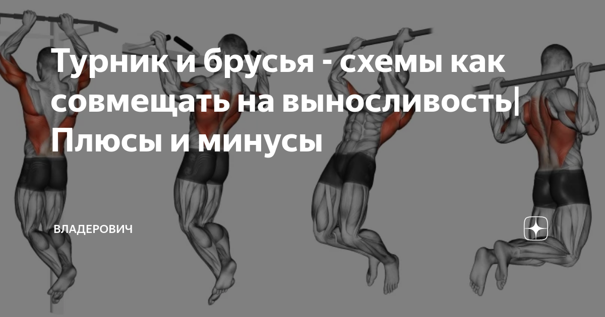 Программа тренировок на турнике и брусьях. Схема на брусьях. Схема подтягиваний на турнике. Увеличить подтягивания на турнике.