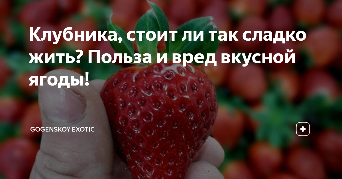 Укрепление иммунитета